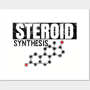 Steroid Synthesis-Steroid Molecule Posters and Art